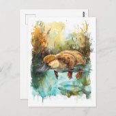 Aquarellplatypus Schwimmen im Teich Postkarte (Vorne/Hinten)