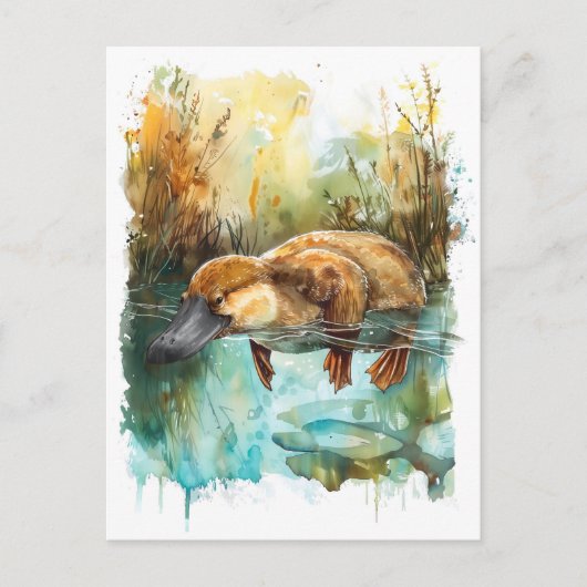 Aquarellplatypus Schwimmen im Teich Postkarte (Vorderseite)