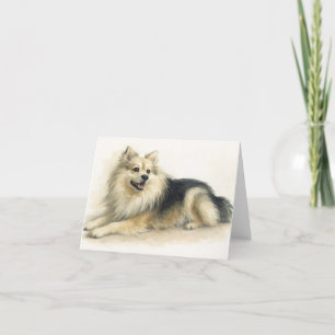 Aquarellpomchi Dog Portrait Dankeskarte