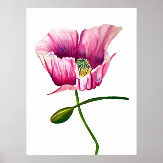 Aquarellrosa Mohn hübsche Blume Poster (Vorne)