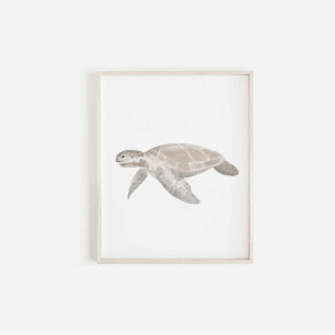 Aquarellschildkröte Poster