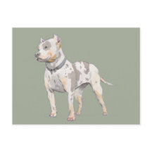 Aquarellskizze | Niedlicher Pit Bull Terrier Dog