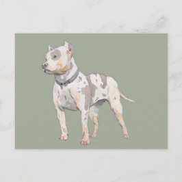Aquarellskizze | Niedlicher Pit Bull Terrier Dog Postkarte