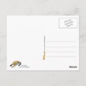 Aquarellskizze Postkarte (Rückseite)