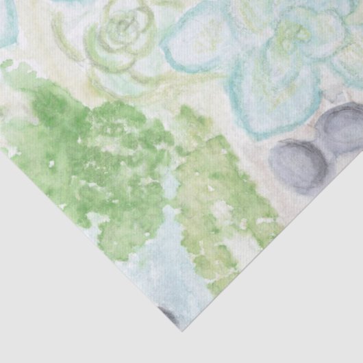 AquarellSucculents Seidenpapier (Detail)