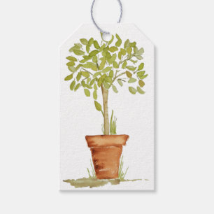 Aquarelltopiary-Baum Geschenkanhänger