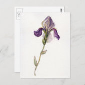 Aquarellviolett Postkarte (Vorne/Hinten)