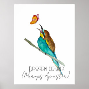 Aquarellvogel (europäischer Bienenfresser) Poster