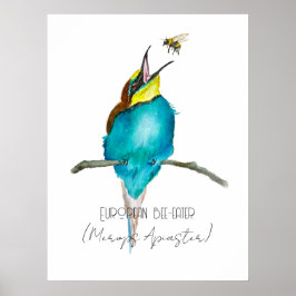 Aquarellvogel (europäischer Bienenfresser) Poster