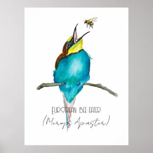Aquarellvogel (europäischer Bienenfresser) Poster (Vorne)