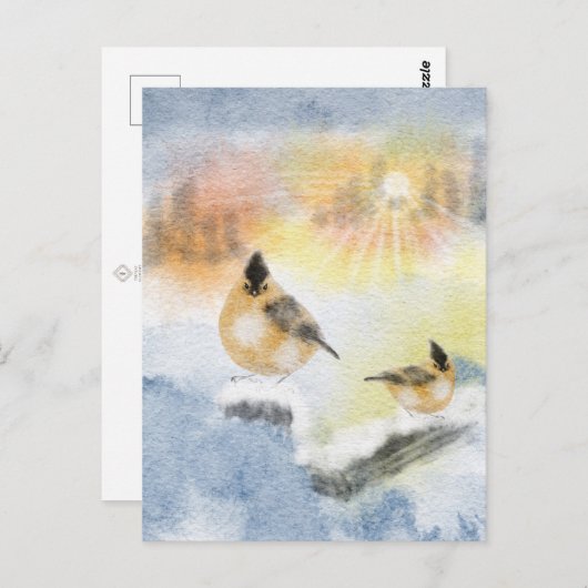 Aquarellvögel Postkarte | Beautiful Bird (Vorne/Hinten)