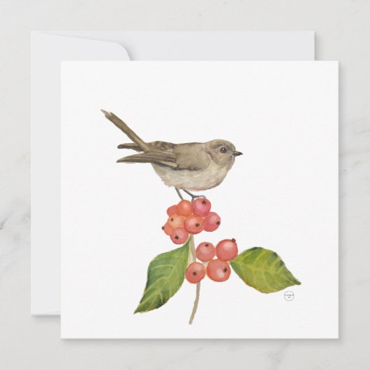 Aquarellvögel "Sylvia curruca" Feiertagskarte (Vorderseite)