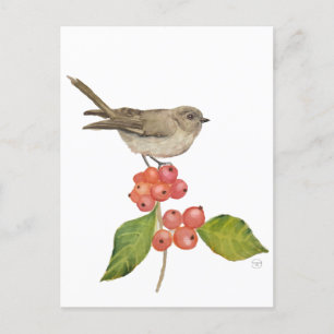 Aquarellvögel "Sylvia curruca" Feiertagspostkarte