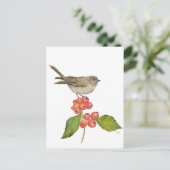 Aquarellvögel "Sylvia curruca" Feiertagspostkarte (Stehend Vorderseite)
