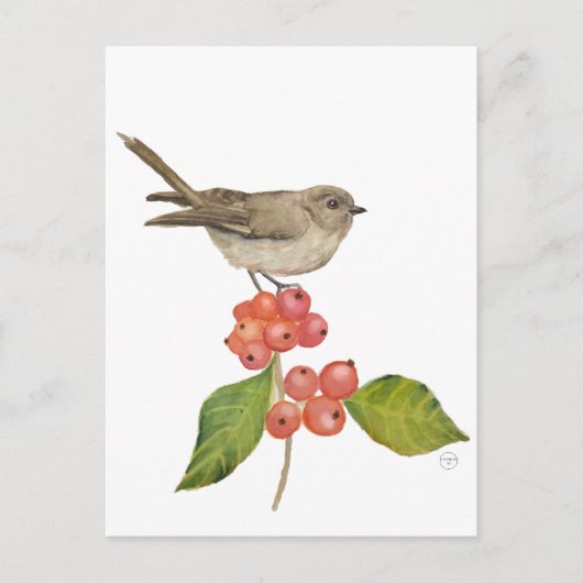 Aquarellvögel "Sylvia curruca" Feiertagspostkarte (Vorderseite)