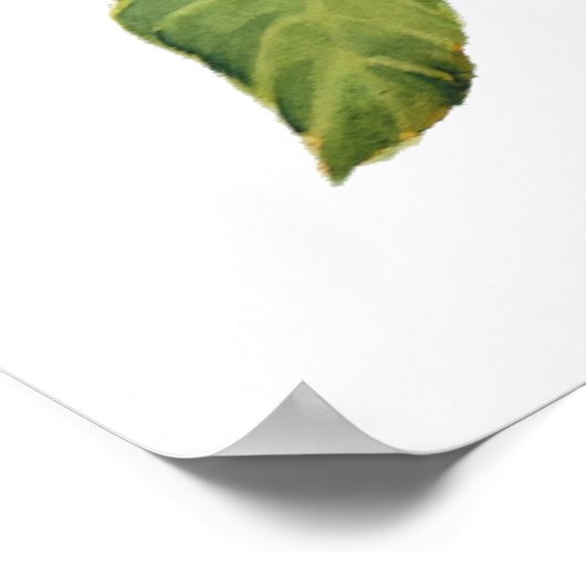 Aquarellvögel "Sylvia curruca" Poster (Ecke)