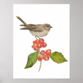 Aquarellvögel "Sylvia curruca" Poster (Vorne)