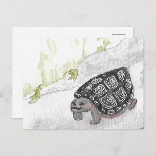 Aquarellwaldschildkröte Postkarte (Vorne/Hinten)