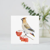 Aquarellwaldvogel wächst (Stehend Vorderseite)