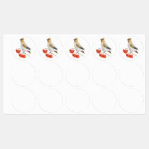 Aquarellwaldvogel wächst