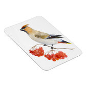 Aquarellwaldvogel wächst magnet (Rechte Seite)