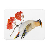 Aquarellwaldvogel wächst magnet (Horizontal)