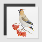 Aquarellwaldvogel wächst magnetkarte (Vorne/Hinten)