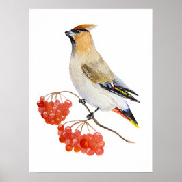 Aquarellwaldvogel wächst poster