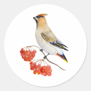 Aquarellwaldvogel wächst runder aufkleber