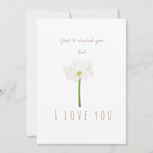 Aquarellwein Amaryllis Blume Grußkarte Einladung (Vorderseite)