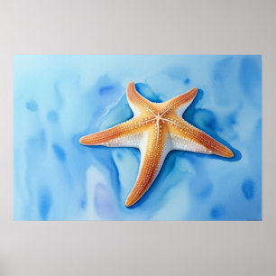 Aquarellzeichnung eines Seesterns Poster