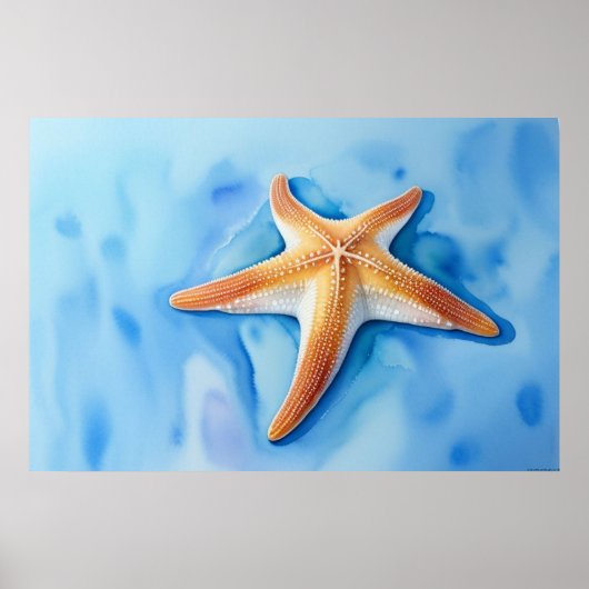 Aquarellzeichnung eines Seesterns Poster (Vorne)