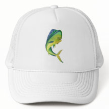 Aquarien der mahi mahi Aquariums-Spitzen-| für