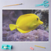 Aquarienblätterpapier Seidenpapier (Basteln)