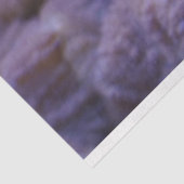 Aquarienblätterpapier Seidenpapier (Ausschnitt)