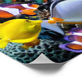 Aquarienfischerei Poster (Ecke)