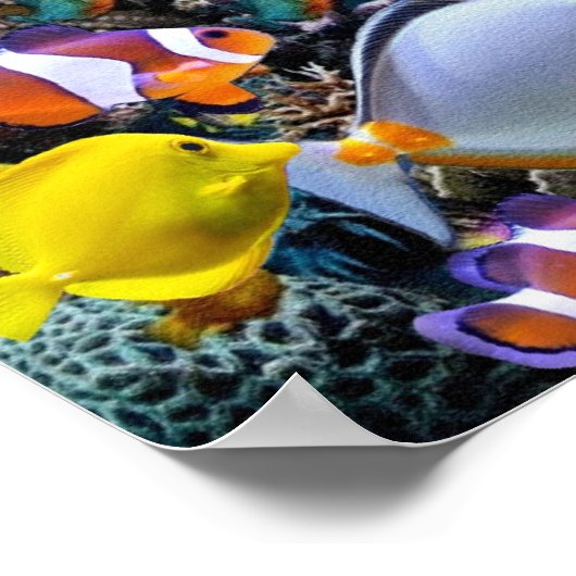 Aquarienfischerei Poster (Ecke)