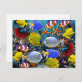 Aquarienfischerei Postkarte (Vorne/Hinten)