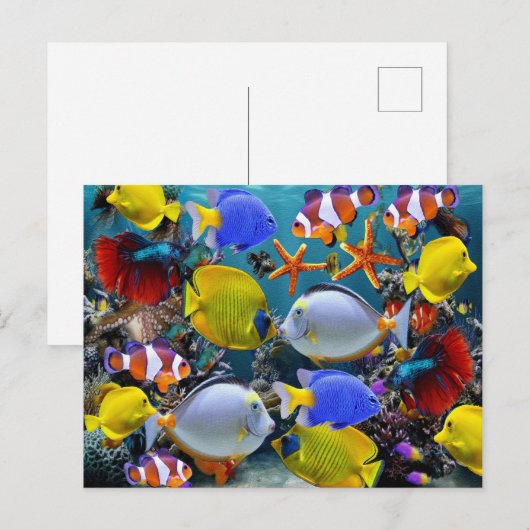 Aquarienfischerei Postkarte (Vorne/Hinten)