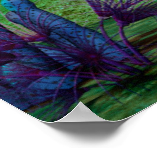 Aquarium3D Poster (Ecke)