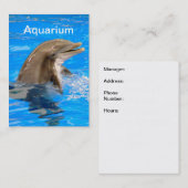 Aquarium Business Card mit Dolphin Visitenkarte (Vorne/Hinten)