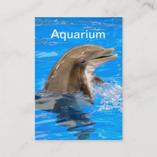 Aquarium Business Card mit Dolphin Visitenkarte (Vorderseite)