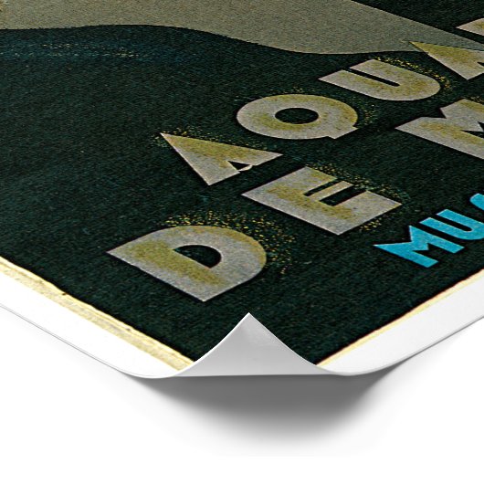 Aquarium de Monaco Poster (Ecke)