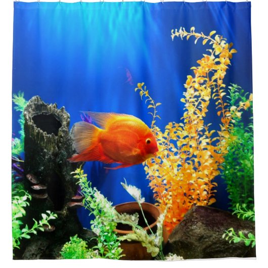 Aquarium Duschvorhang (Vorderseite)