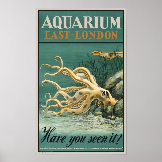 Aquarium, East London - Octopus Poster (Vorne)