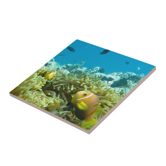 Aquarium-Fische Fliese (Seite)