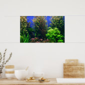 Aquarium für Aquarium Hintergrund Poster (Küche)