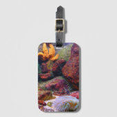 Aquarium Gepäckanhänger (Vorderseite Vertikal)