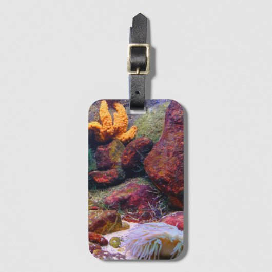 Aquarium Gepäckanhänger (Vorderseite Vertikal)