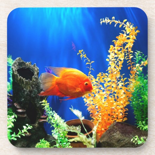 Aquarium Getränkeuntersetzer (Vorderseite)